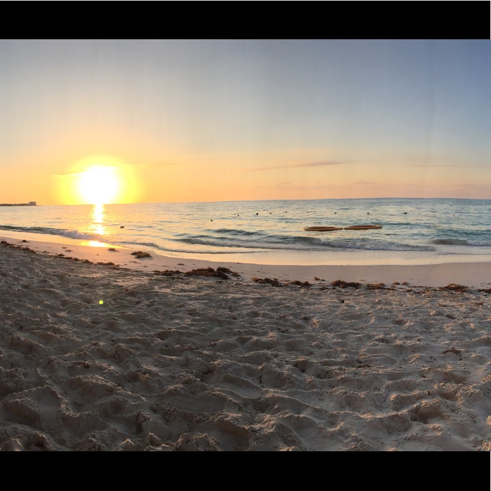 Meet your Posher, Janet